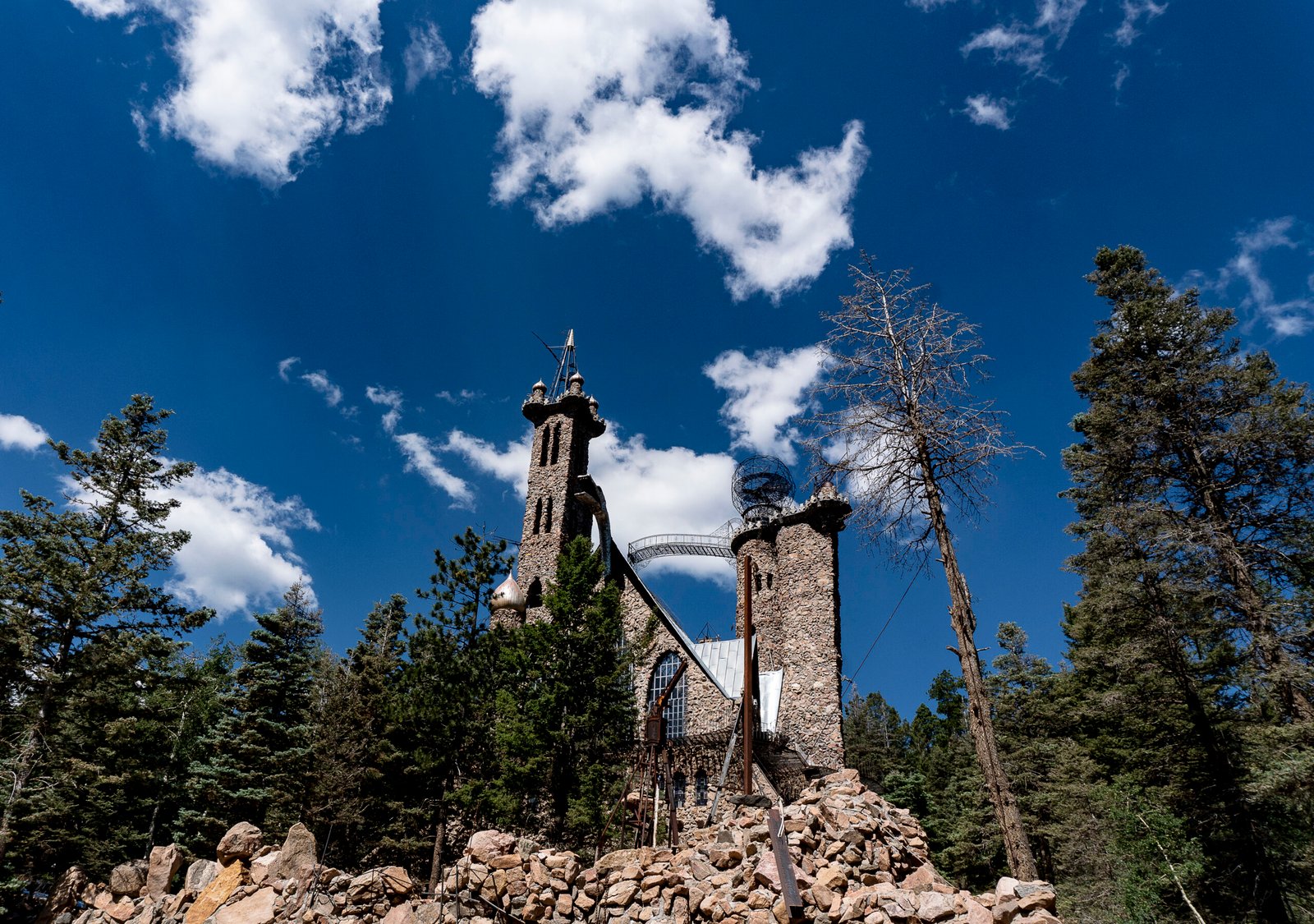 thekindmagnoliaartsguild.fun